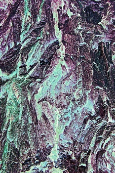 A 232A